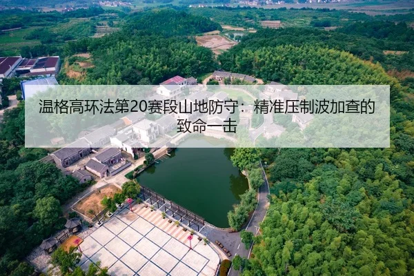 温格高环法第20赛段山地防守：精准压制波加查的致命一击