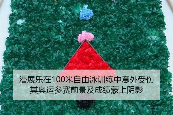 潘展乐在100米自由泳训练中意外受伤 其奥运参赛前景及成绩蒙上阴影