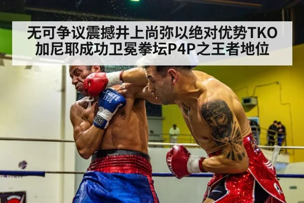 boxer knockout punch