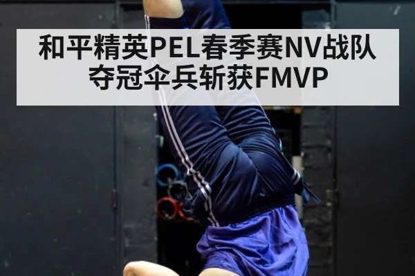 和平精英PEL春季赛NV战队夺冠伞兵斩获FMVP